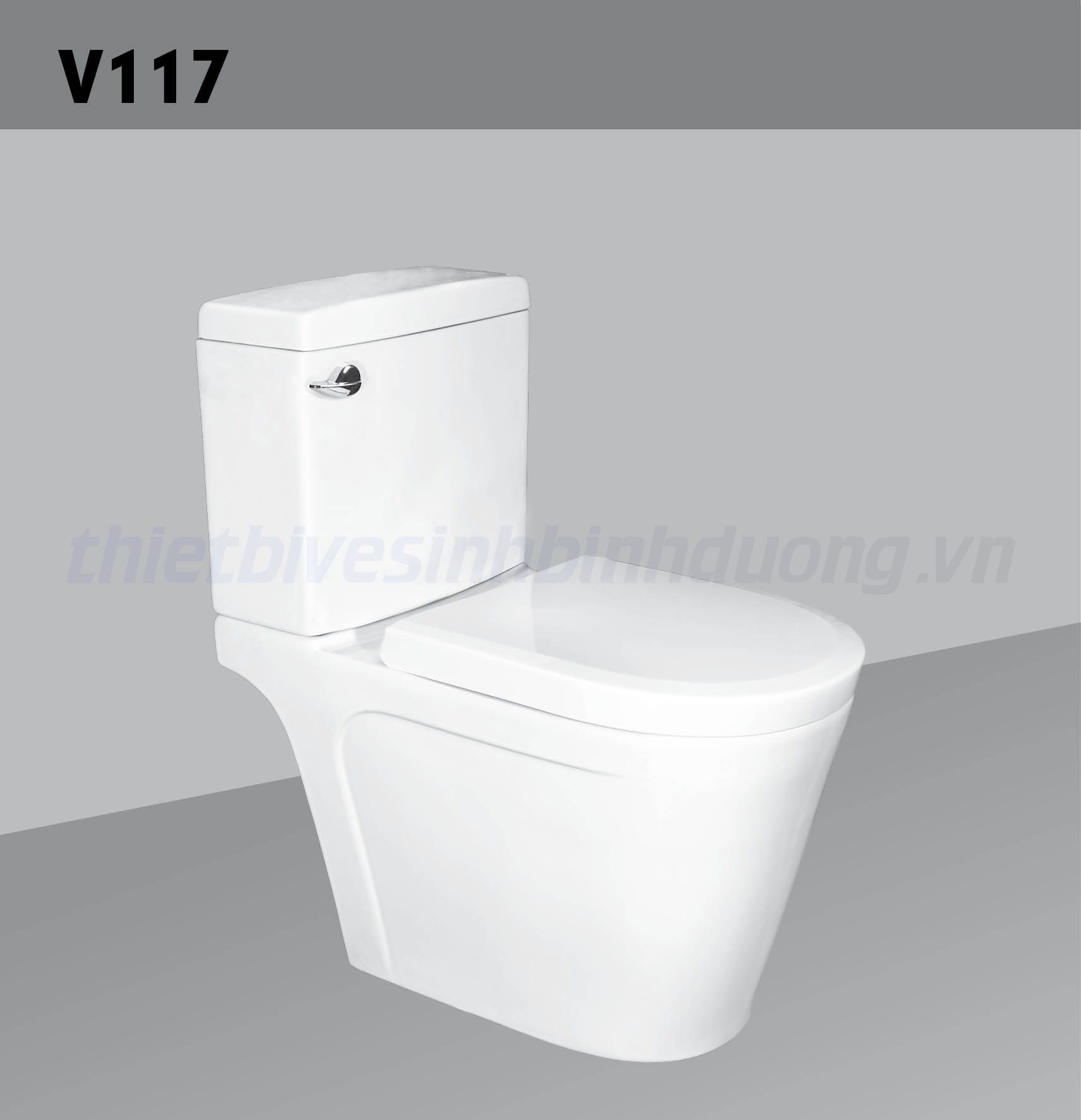 Bồn cầu sứ Hảo Cảnh HC V117